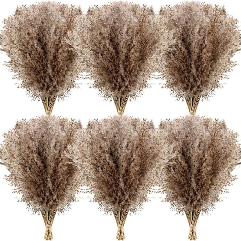 5394 Dried Pampas Grass Decor 17 Inch Bulk Natural Small Pompous Wild